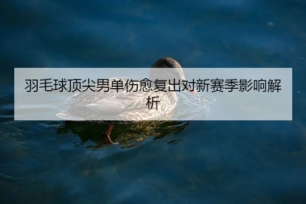 羽毛球顶尖男单伤愈复出对新赛季影响解析 - Kaiyun